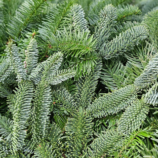 Vianočná NOBILIS neopadavá čečina jedlička zväzok - 11